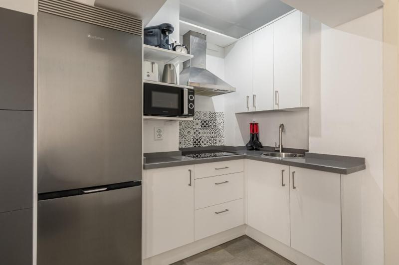Tulip - image 5