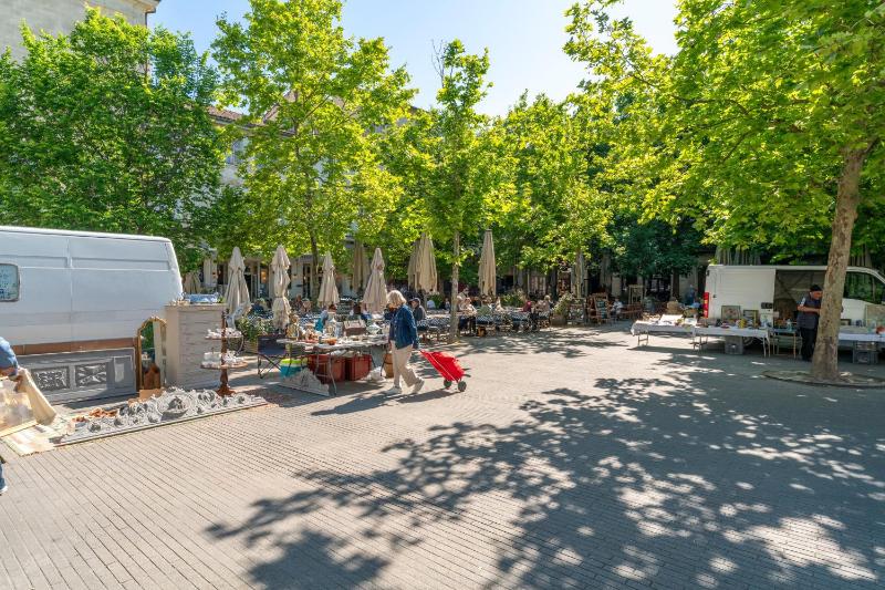 En plein centre d'Avignon - image 9