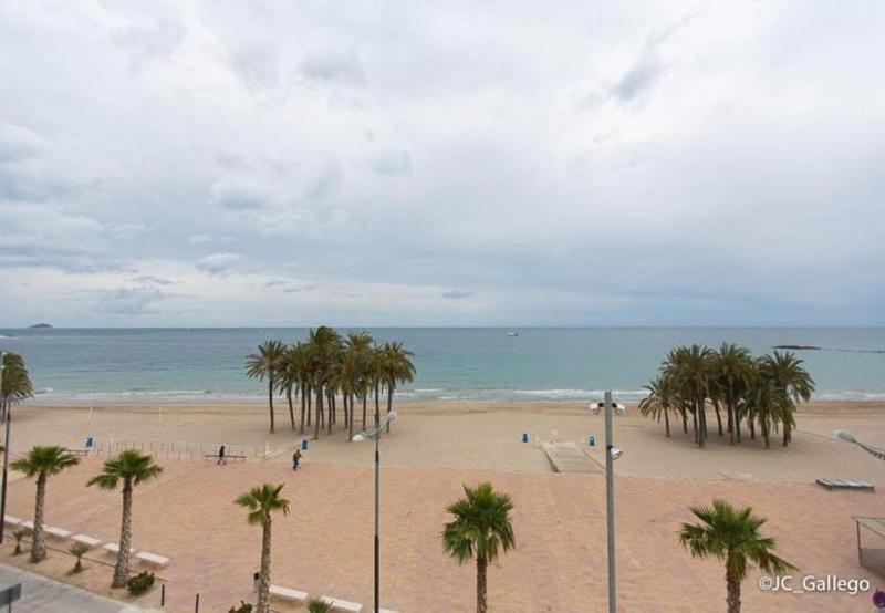 Ibicenco Villajoyosa - image 12