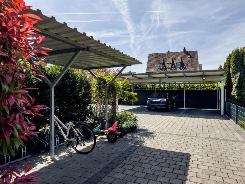Amsel - Vogelhaus - image 13