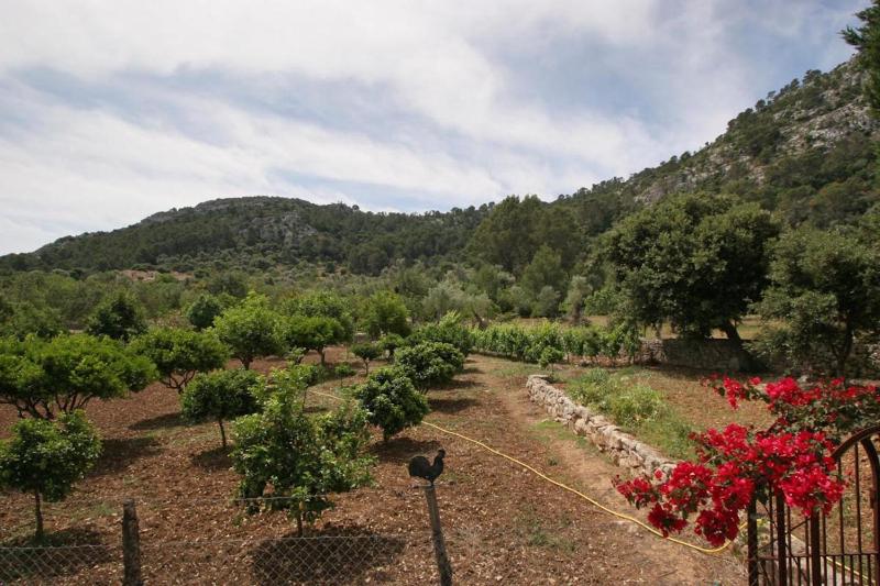 Can Guillo - image 6