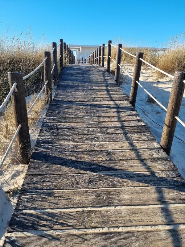 Tavira Mar - image 16