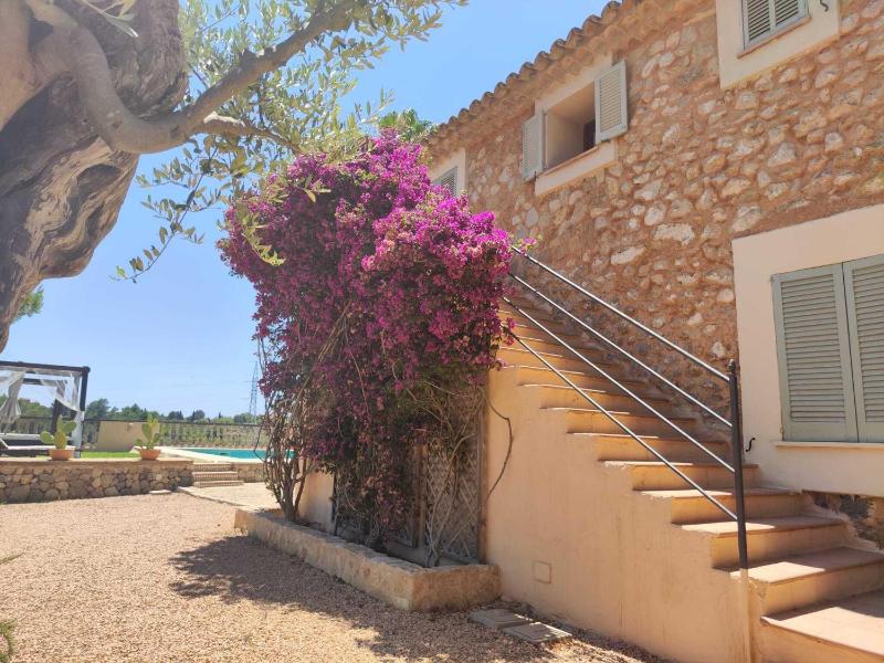 Agroturismo Son Bauzanet - image 30