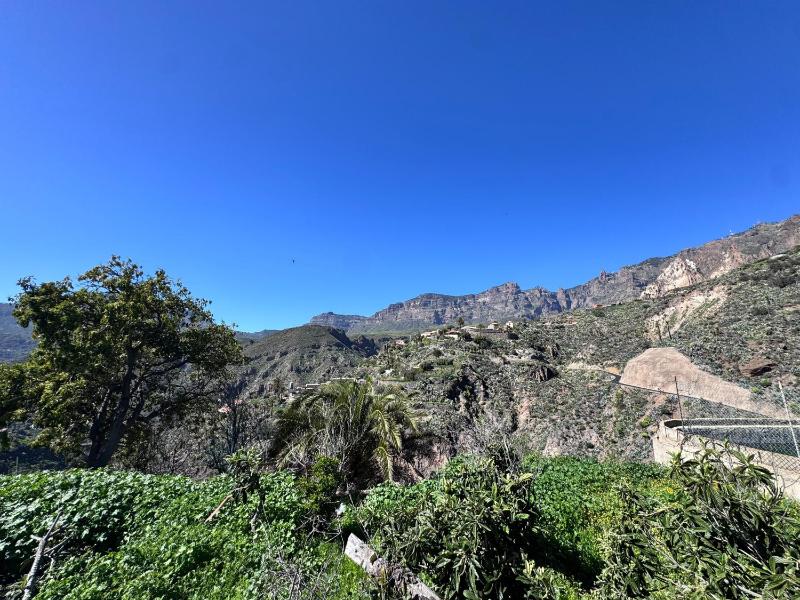 Palmeral de Taidía - image 3