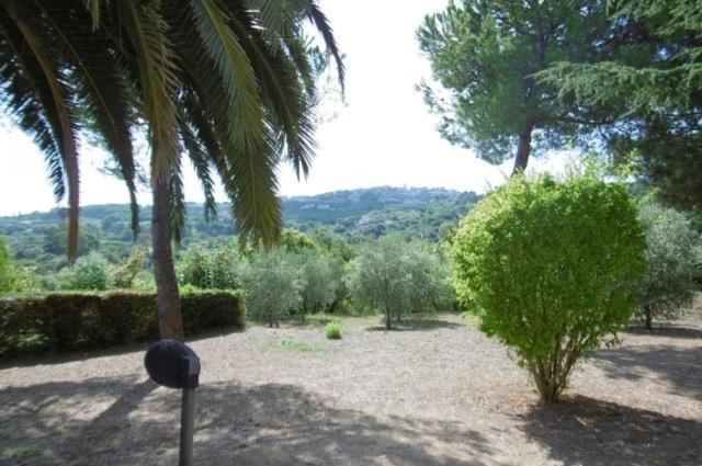 Villa Vanna Trilo -quadrilocale - image 22