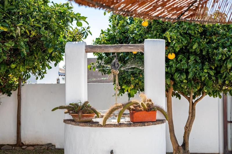 Cortijo Villa La Dehesa - image 12