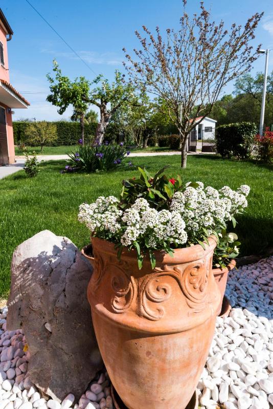 Villa ROZA - image 42