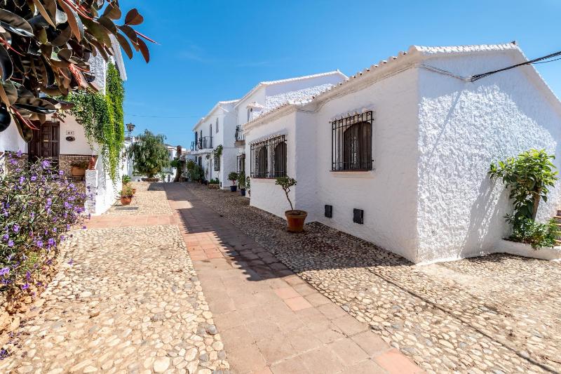 olivo de capistrano - image 16