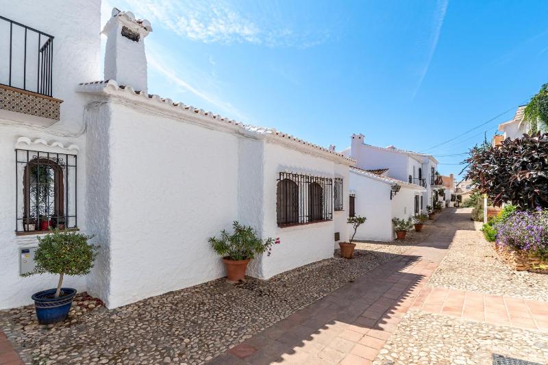olivo de capistrano - image 6