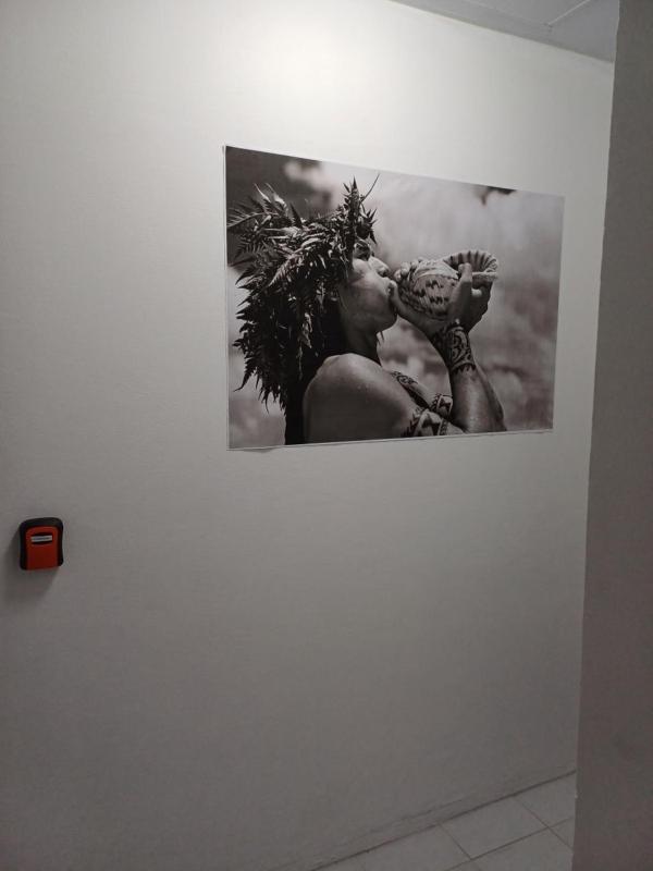 HIBISCUS - City center room Papeete - image 11