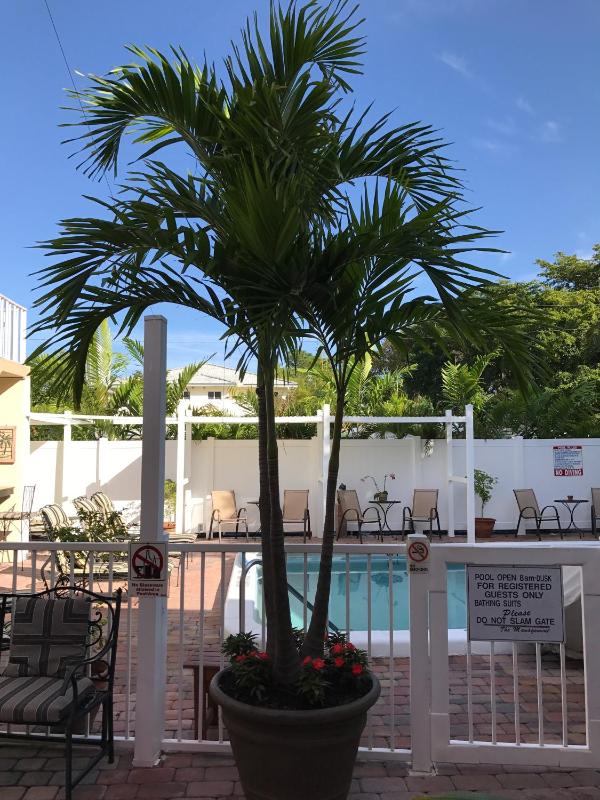 The Big Coconut Guesthouse - Gay Men's Resort - image 18