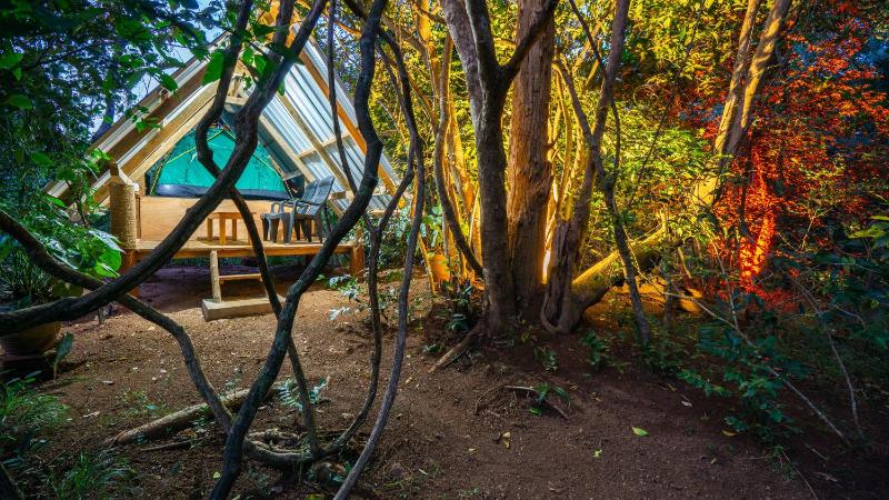 Sigiri Jungle Camping - image 15