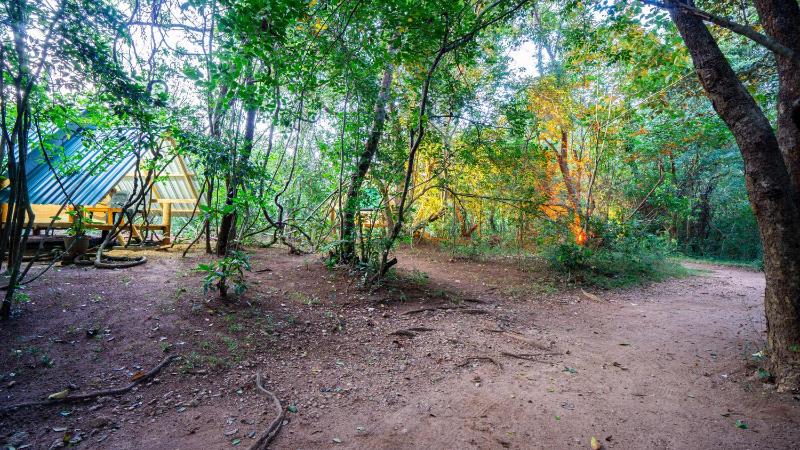 Sigiri Jungle Camping - image 11