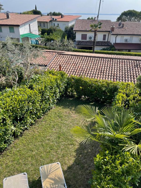Collina degli Olivi - image 41