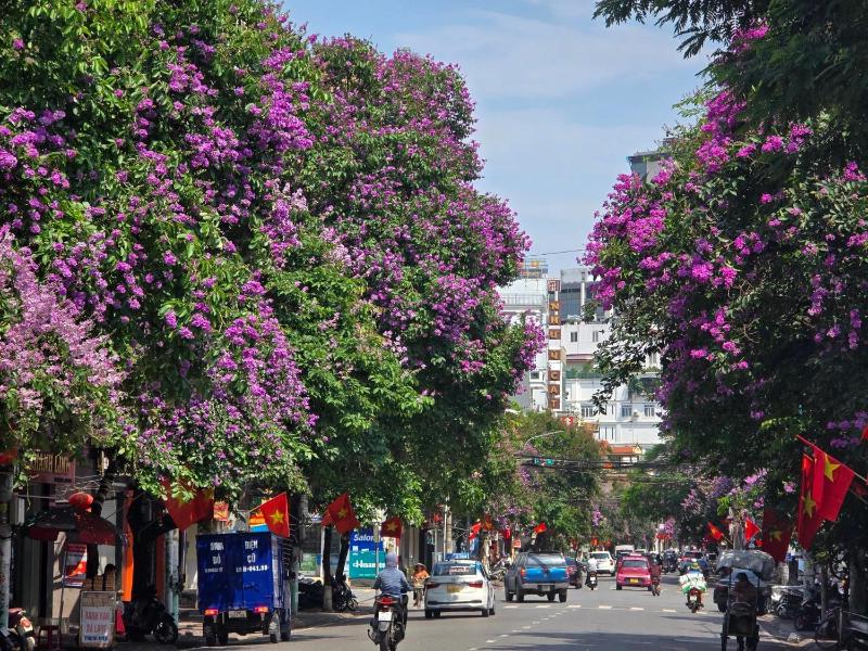 Phốstay 180 Cầu Đất - image 14