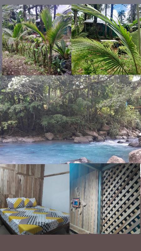 cataleya spring cabins - image 8