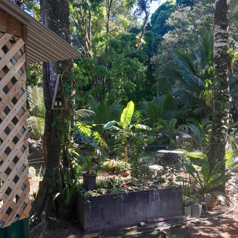 cataleya spring cabins - image 9