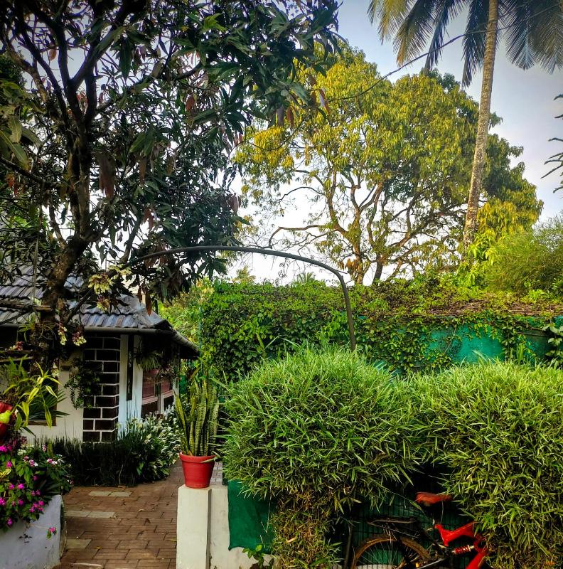 Celestial Homestay - image 11