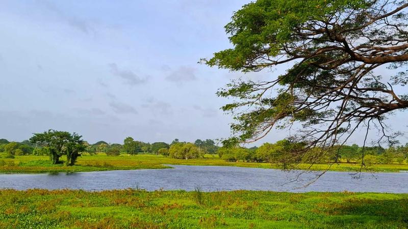 Oleander Resort Anuradhapura - image 21