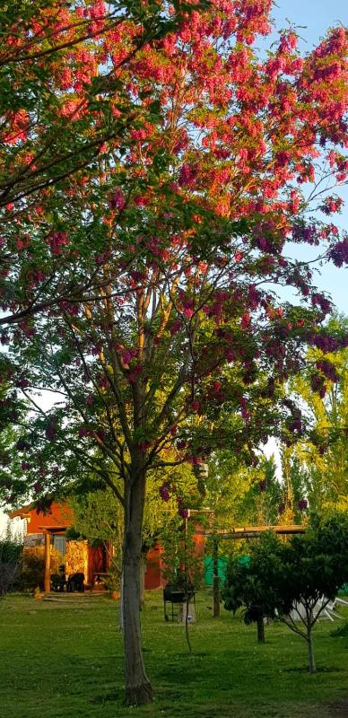 LAS GARDENIAS Cabañas - image 13