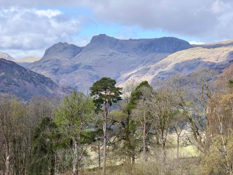 Lake District Woodland Cabin - Close to Ambleside & Langdale Valley - image 2