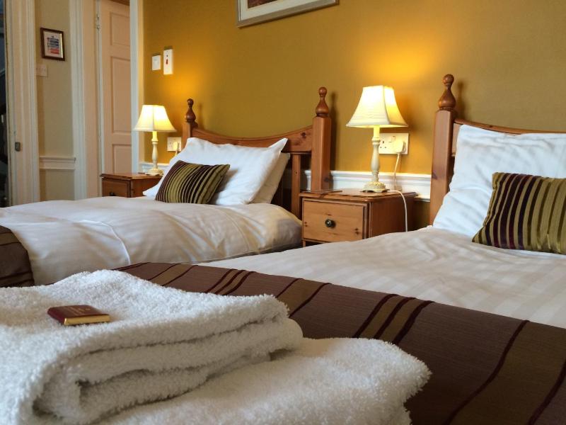 Large Twin Room image 3