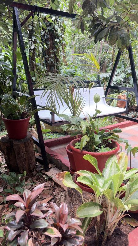 CENTAURUS Coorg HOMESTAY - image 21