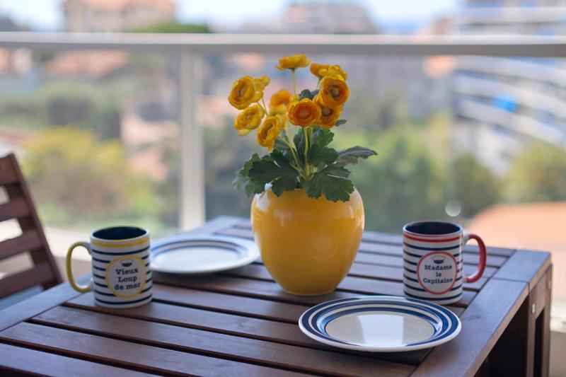 Centre juan les pins 2P pkg Elfira - image 7