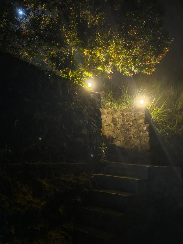 The Mist - image 9
