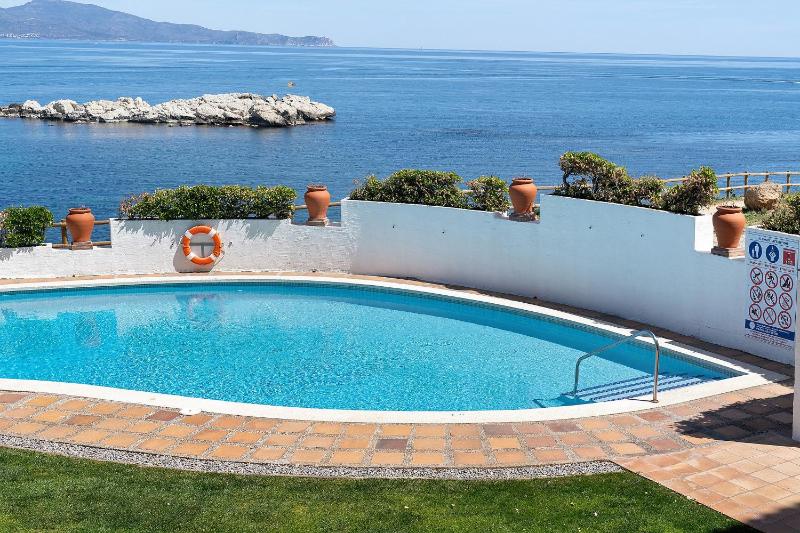 Cargol de mar - image 10