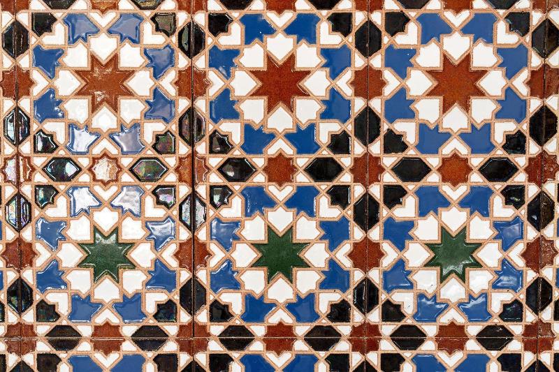 Cargol de mar - image 8