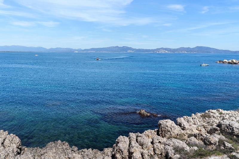 Cargol de mar - image 13