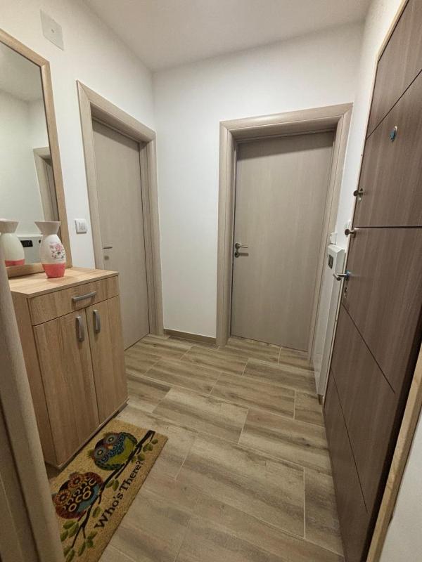 Apartman Davidovic - image 6