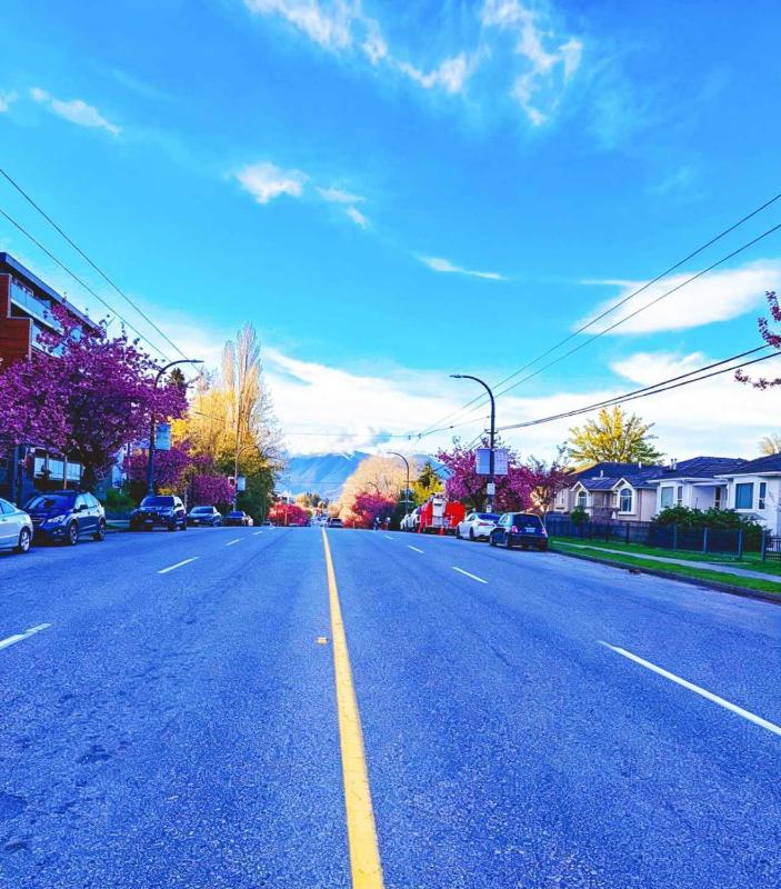 Cozy Home in Vancouver - image 9