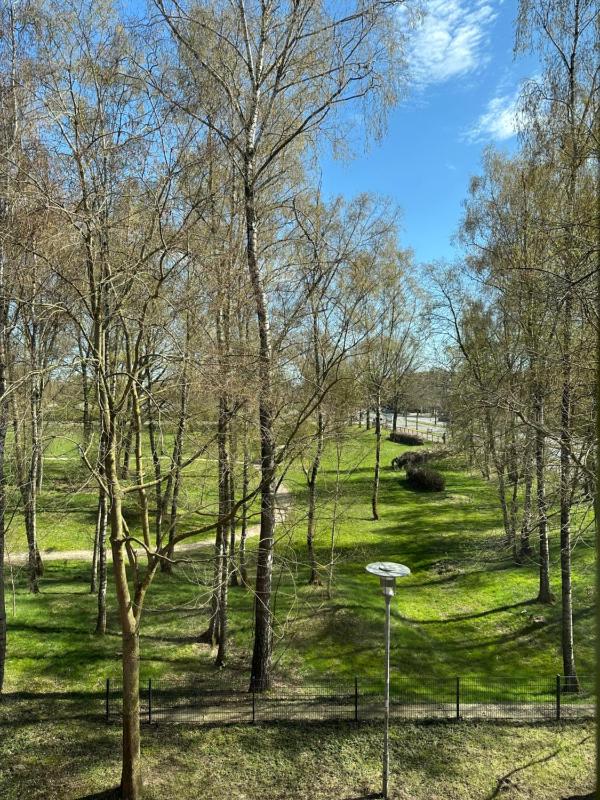 7THINGS - my basic hotel - image 14