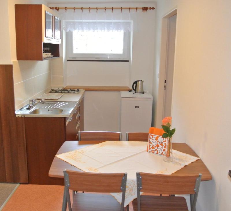 One-Bedroom Apartment image 2