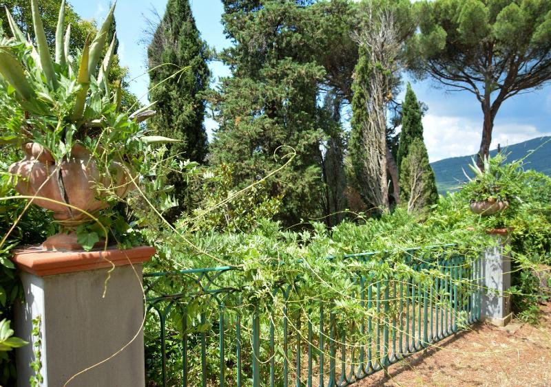 Il Maggese - image 31