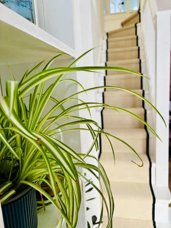 Stylish Central Cottage with Sunny Patio - image 39