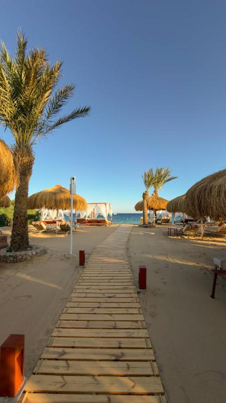 TheLifeCo Sharm El Sheikh - image 20
