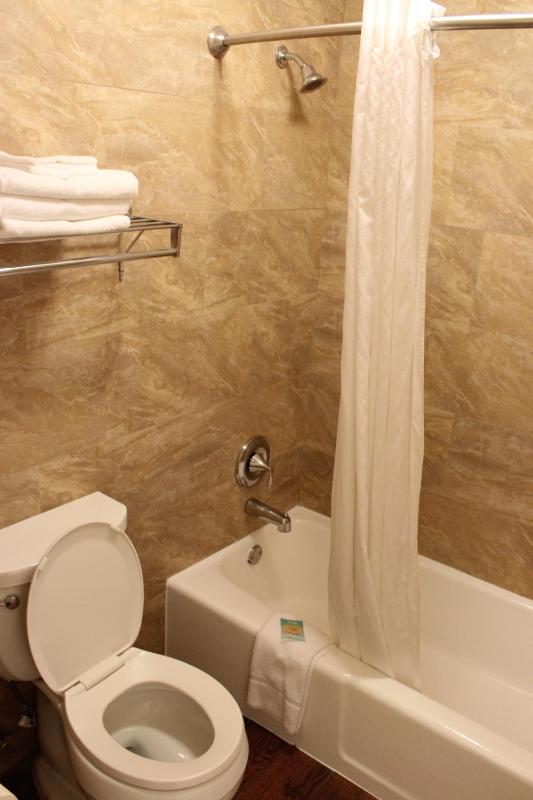 Premium King Room image 2