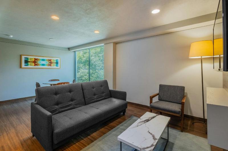 City Express Suites by Marriott Ciudad de México Anzures - image 49