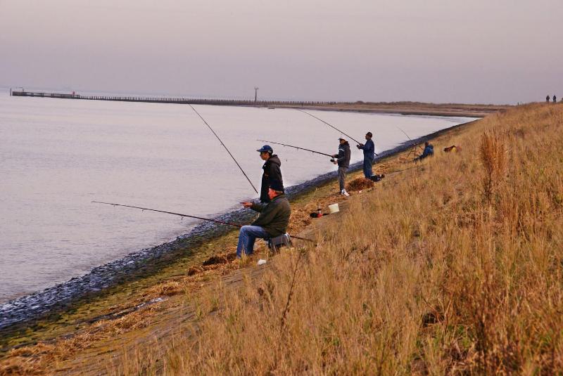 Two-Bedroom Apartment image 4