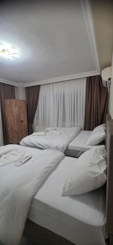 Blue Amedist Hotel - image 14