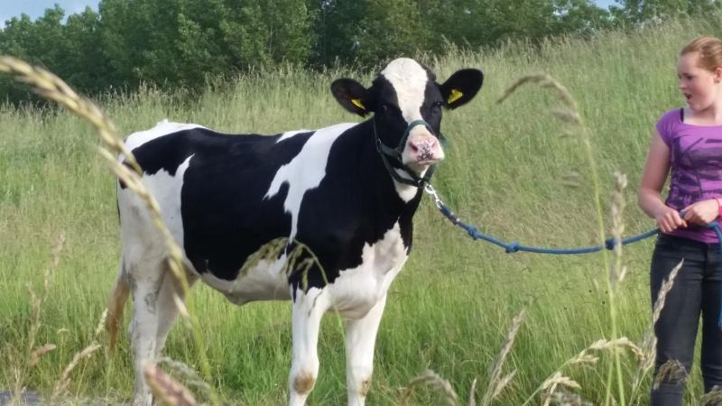 Two-Bedroom Apartment image 3