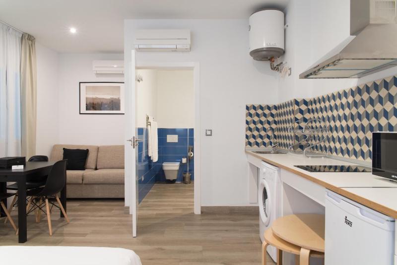 Studio Apartment image 4