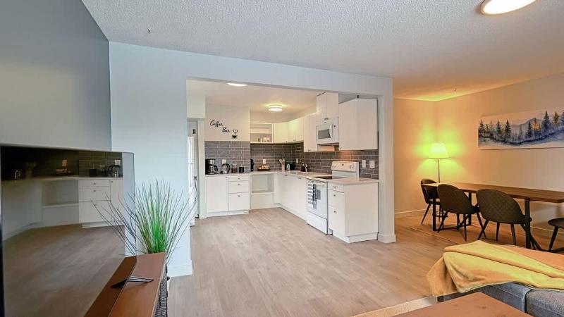 Cozy 2 Bedroom Suite Near Ctrain Mall and Downtown - image 15