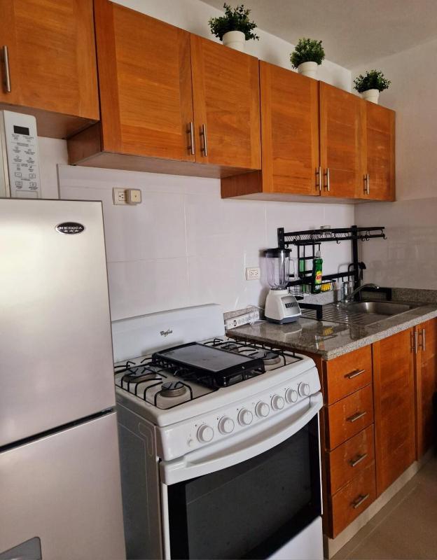 Apartment in Punta Cana with private beach access - image 27