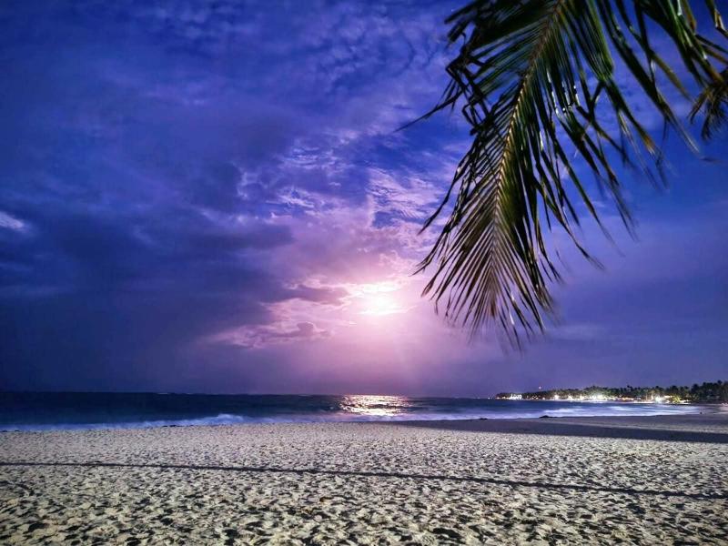 Apartment in Punta Cana with private beach access - image 35