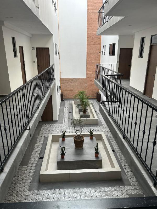 ZenCanto - image 16