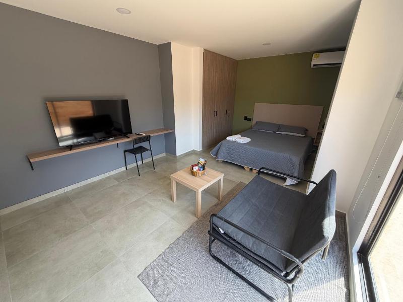 Deluxe Suite with Terrace - image 21